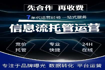 实战技巧：竞价推广案例解析与优化策略